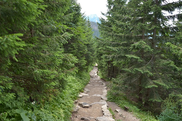 Wakacyjny wypad w góry do Zakopanego - doskonały sposób na niezapomniane przygody i relaks